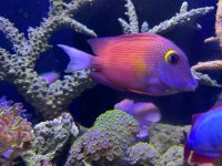 IMG_5717.jpeg