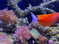 IMG_5716.jpeg