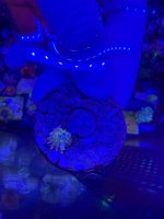 IMG_9839.jpeg