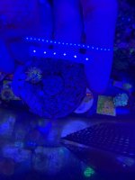 IMG_9838.jpeg