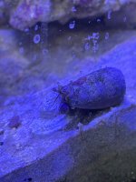 IMG_9300.jpeg