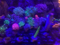 IMG_1006.jpg