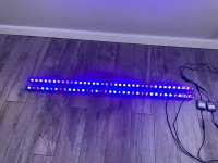 IMG_0547.jpeg