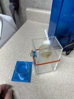 IMG_7263.jpeg