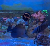 IMG_3135.jpeg