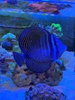 IMG_3129.jpeg