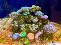IMG_6318.jpeg
