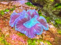 IMG_6319.jpeg