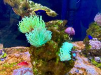 IMG_6317.jpeg