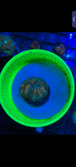 IMG_5379.png