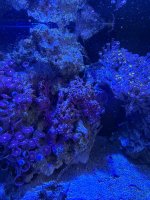 IMG_2021.jpeg