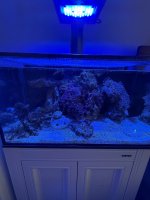IMG_2017.jpeg