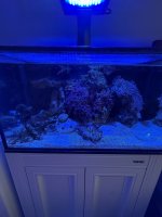IMG_2016.jpeg