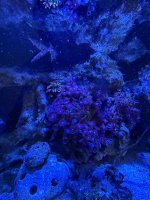 IMG_2019.jpeg
