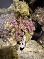 IMG_1802.jpeg