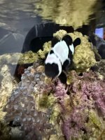 IMG_1800.jpeg