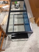 IMG_0252.jpeg