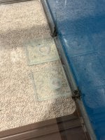 IMG_0253.jpeg