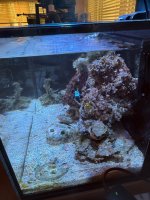 IMG_2042.jpeg