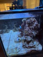 IMG_2041.jpeg