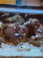 IMG_2038.jpeg