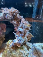 IMG_2040.jpeg