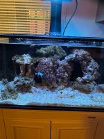 IMG_2037.jpeg