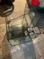 IMG_0729.jpeg