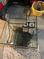 IMG_0728.jpeg