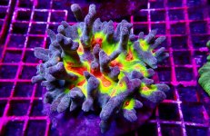 P2101329.jpeg