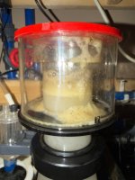 IMG_4159.jpeg