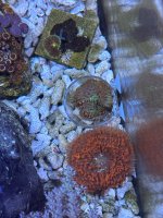 IMG_4735.jpeg