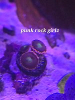 20260219_110134.jpg