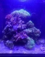 IMG_1403.jpg