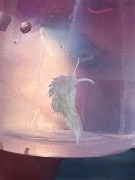 IMG_3611.jpeg