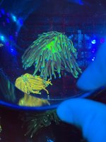 IMG_5607.jpeg