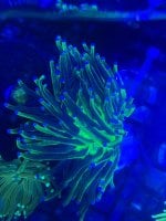 IMG_5134.jpeg