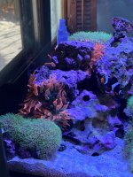 IMG_3832.jpeg