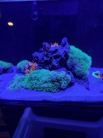 IMG_3195.jpeg