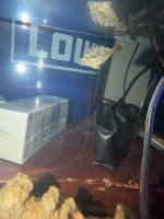IMG_0287.jpeg
