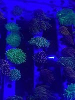 IMG_1061.jpg