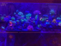 IMG_1087.jpg
