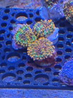IMG_9206.jpeg