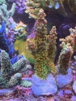 IMG_9202.jpeg