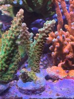 IMG_9204.jpeg