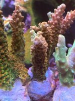 IMG_9205.jpeg