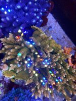 IMG_9310.jpeg