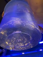 IMG_1687.jpeg