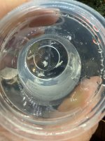 IMG_1688.jpeg