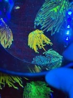 IMG_5608.jpeg